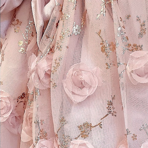 NWT BlueBeri Pink Layered dress, silver/gold accents, rows of flowers - Picture 8 of 11